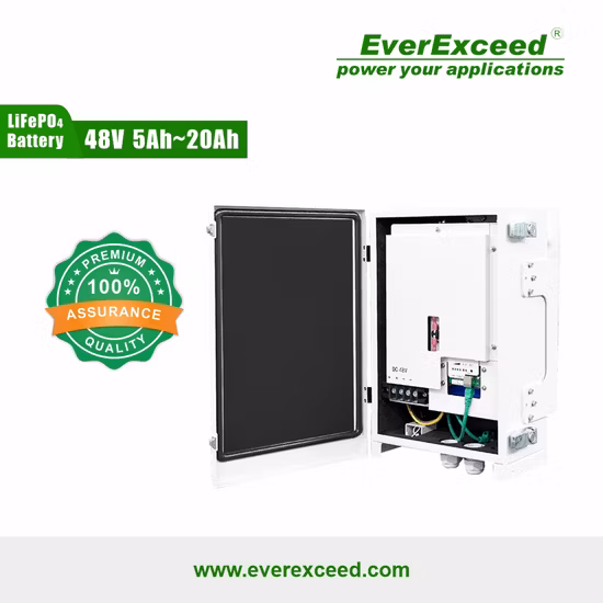 통신 시스템을 위한 새 버전 5g 통신 기반 스테이션 LiFePO4 배터리 48V 20ah 9.6kwh 리튬 배터리 팩